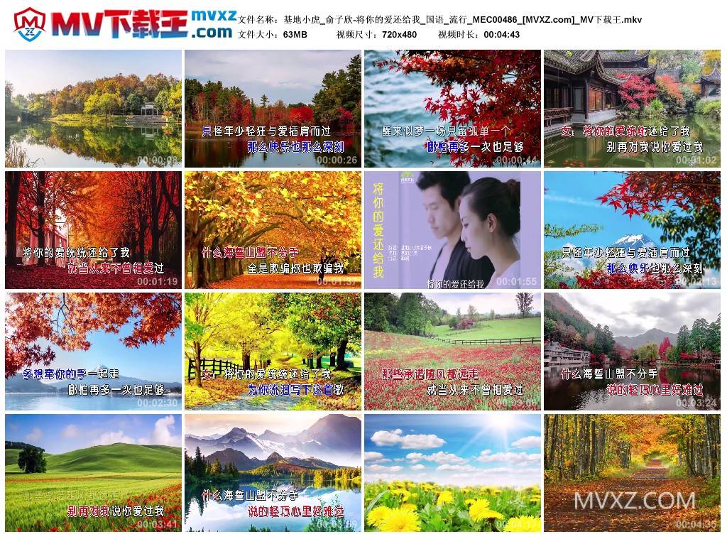 基地小虎_俞子欣-将你的爱还给我_国语_流行_MEC00486